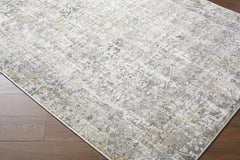 Tiago Area Rug - Ornate Home