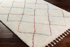 Tigao Area Rug - Clearance - Ornate Home