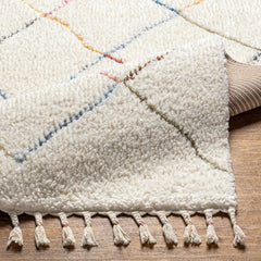 Tigao Area Rug - Clearance - Ornate Home