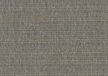 Tigard Gray/Beige Side Chair (Set of 2) - Ornate Home