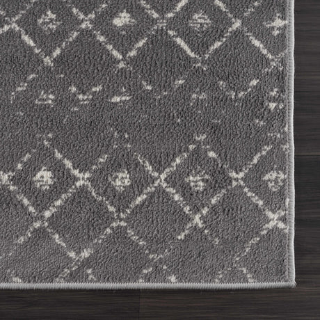 Tigrican Charcoal 2329 Area Rug - Clearance - Ornate Home