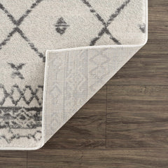 Tigris Area Rug - Clearance - Ornate Home