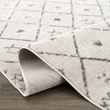 Tigris Area Rug - Clearance - Ornate Home