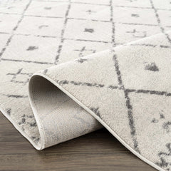 Tigris Area Rug - Clearance - Ornate Home