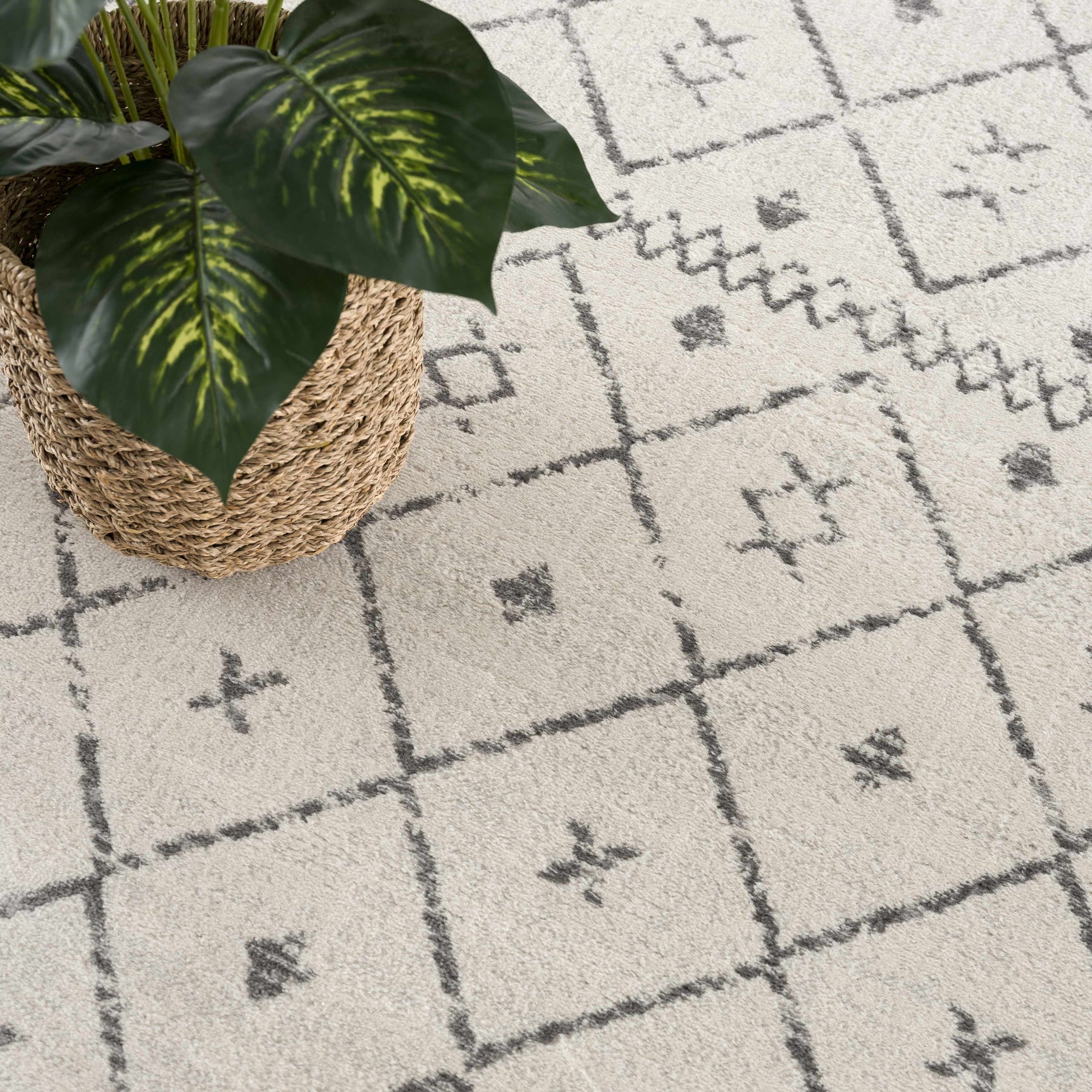 Tigris Area Rug - Clearance - Ornate Home