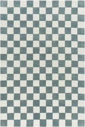 Timin Blue Gray Checkered Area Rug - Clearance - Ornate Home