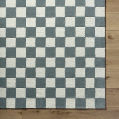 Timin Blue Gray Checkered Area Rug - Clearance - Ornate Home