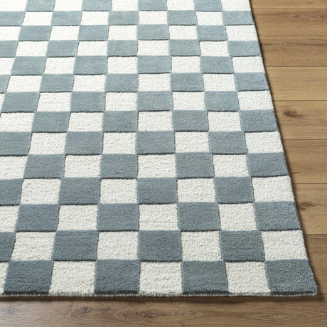 Timin Blue Gray Checkered Area Rug - Ornate Home
