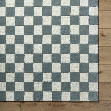 Timin Blue Gray Checkered Area Rug - Ornate Home