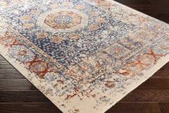 Timnath Clearance Rug - Clearance - Ornate Home