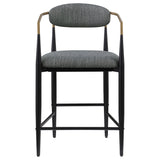 Tina Dark Grey Counter Chair (Set of 2) - Ornate Home