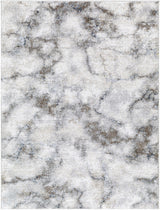 Titan Light Gray Area Rug - Clearance - Ornate Home