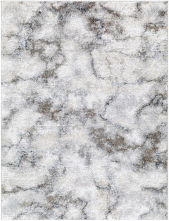 Titan Light Gray Area Rug - Clearance - Ornate Home