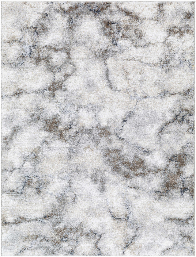 Titan Light Gray Area Rug - Clearance - Ornate Home