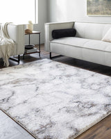 Titan Light Gray Area Rug - Clearance - Ornate Home