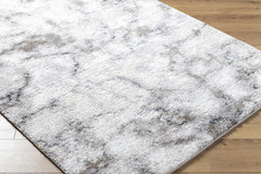 Titan Light Gray Area Rug - Clearance - Ornate Home