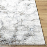 Titan Light Gray Area Rug - Clearance - Ornate Home