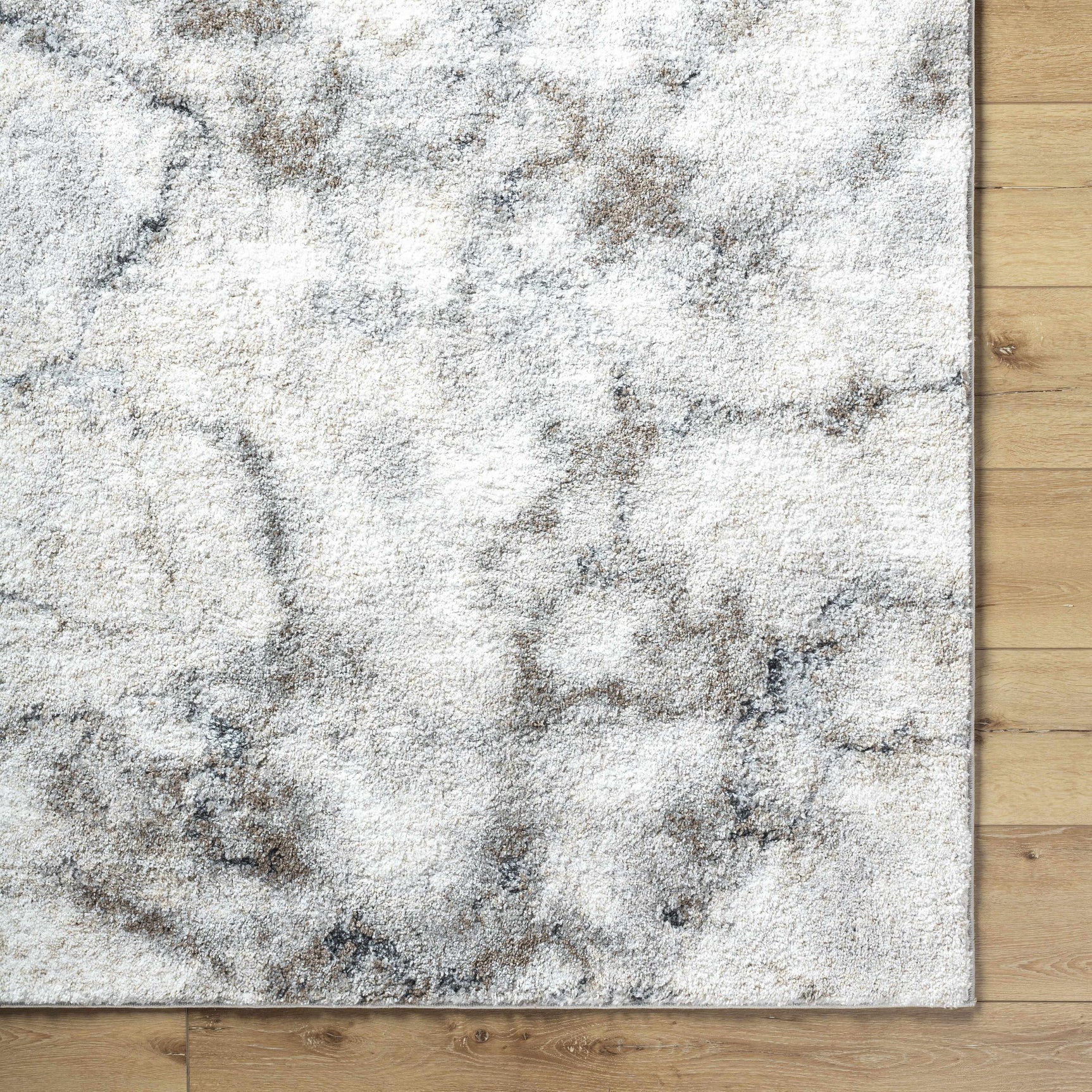 Titan Light Gray Area Rug - Clearance - Ornate Home