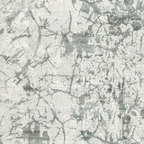 Tobinbury Gray Washable Large Rug (Online Special Price) - Ornate Home