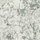 Tobinbury Gray Washable Large Rug - Ornate Home