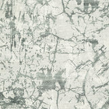 Tobinbury Gray Washable Medium Rug - Ornate Home