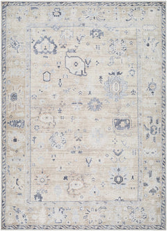 Toddy Area Rug - Ornate Home