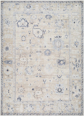 Toddy Area Rug - Ornate Home