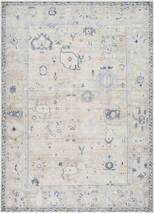 Toddy Area Rug - Ornate Home