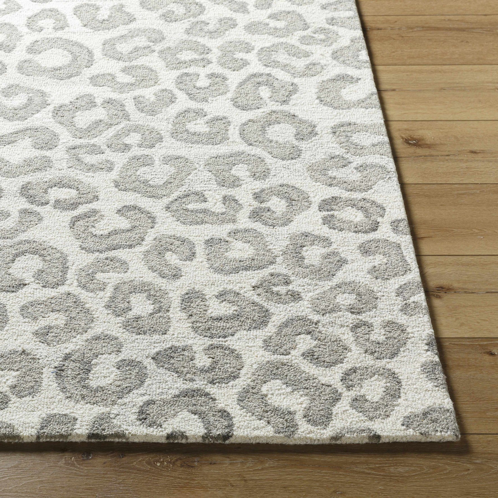 Tomas Area Rug - Clearance - Ornate Home