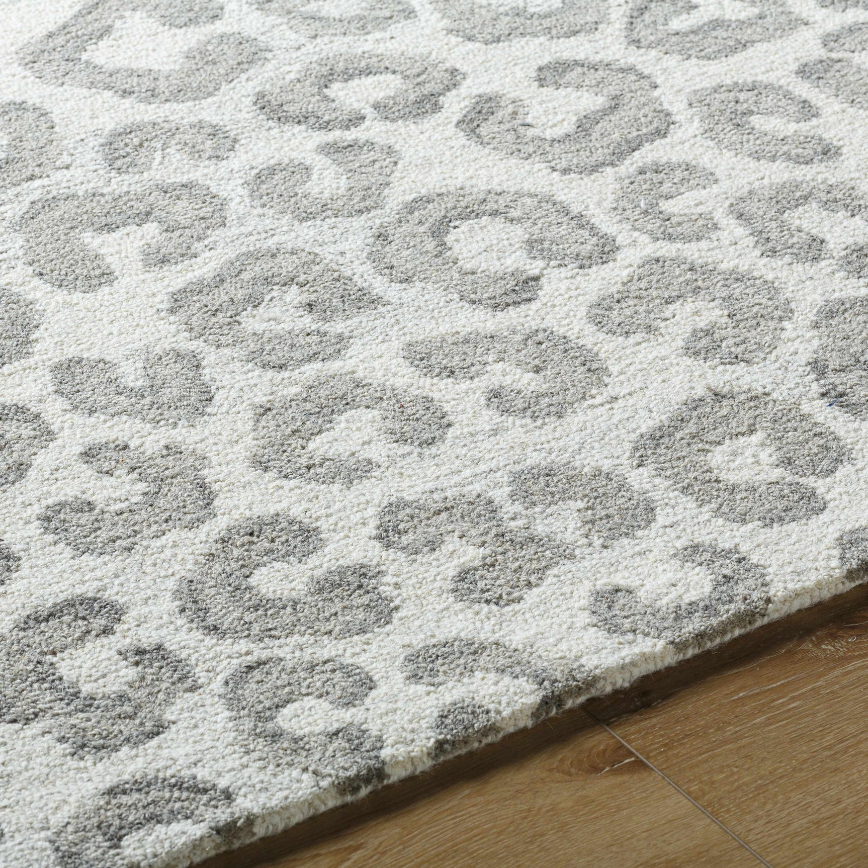 Tomas Area Rug - Clearance - Ornate Home