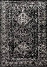 Toni Area Rug - Clearance - Ornate Home