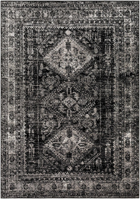 Toni Area Rug - Clearance - Ornate Home
