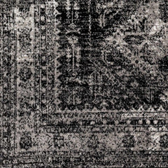 Toni Area Rug - Clearance - Ornate Home