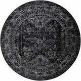 Toni Area Rug - Clearance - Ornate Home