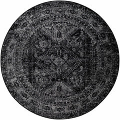 Toni Area Rug - Clearance - Ornate Home