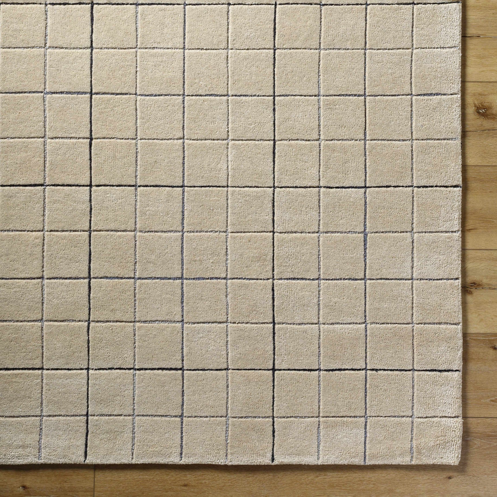 Toshi Beige Area Rug - Ornate Home