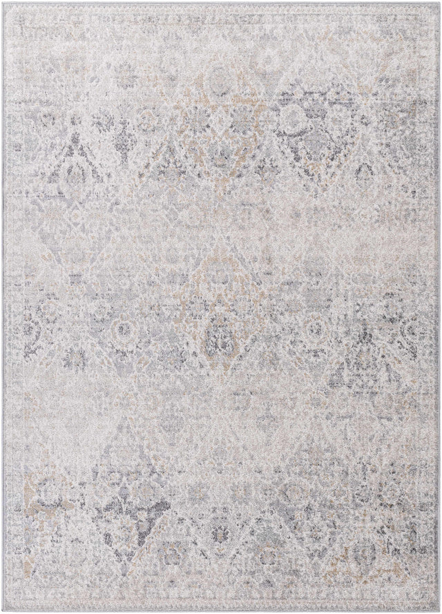 Totsi Area Rug - Clearance - Ornate Home