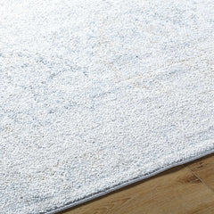 Totsi Area Rug - Clearance - Ornate Home