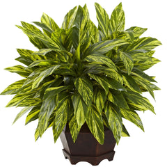 Tradescantia with Wooden Hexagon Planter - Ornate Home