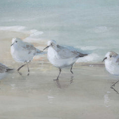Tranquil Shorebirds On The Sand Gray/Woodtone Framed Print - Ornate Home