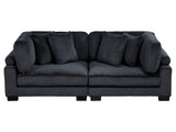 Traverse Black Loveseat - Ornate Home