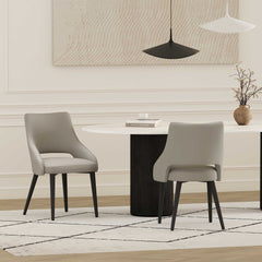 Tremont Dining Chair in Stone (set of 2) - Ornate Home
