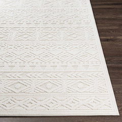 Treuddyn 3D Outdoor Area Rug - Ornate Home
