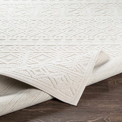 Treuddyn 3D Outdoor Area Rug - Ornate Home
