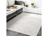 Trigg 3D Outdoor Area Rug - Ornate Home