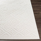 Trigg 3D Outdoor Area Rug - Ornate Home