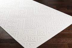Trigg 3D Outdoor Area Rug - Ornate Home