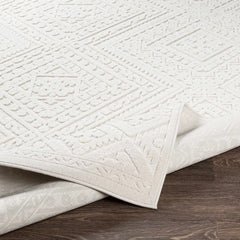 Trigg 3D Outdoor Area Rug - Ornate Home