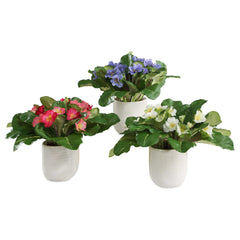 Trilogy Primrose Green/White Accents In Vases (Set of 3) - Ornate Home