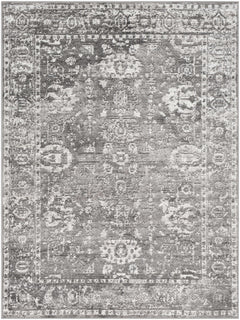 Tripp Distressed Gray Rug - Ornate Home